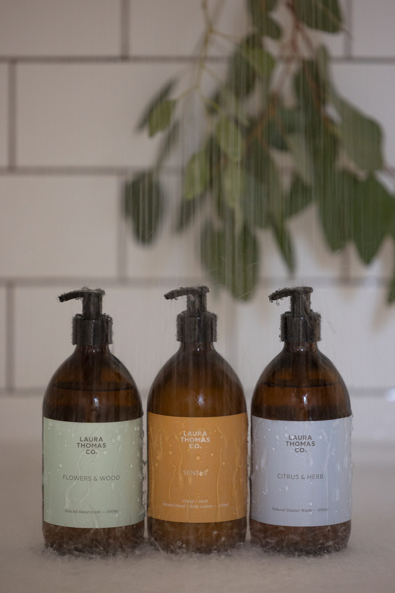 Bestseller Bundle - Image 2